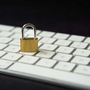 WordPress Maintenance: Basic Website Care Package (Yearly Payment)