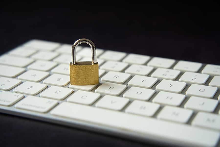 WordPress Maintenance: Basic Website Care Package WordPress Maintenance: Basic Website Care Package